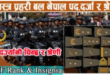 APF Rank & Insignia